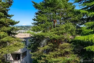 3711 26th Pl W, Seattle, WA 98199 - Photo 25