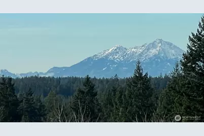 4201 Nettle Drive SE, Port Orchard, WA 98366 - Photo 3