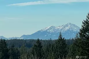 4201 Nettle Dr SE, Port Orchard, WA 98366 - Photo 3