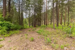 69 Fs 5010 Rd - Chewuch, Winthrop, WA 98862 - Photo 27