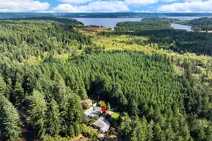 12805 108th St, Anderson Island, WA 98303 - Photo 35