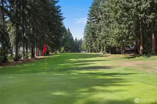 12805 108th St, Anderson Island, WA 98303 - Photo 39