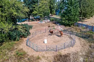 16115 243rd St E, Graham, WA 98338 - Photo 33
