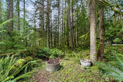 7469 Miller Way, Glacier, WA 98244 - Photo 25