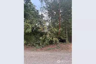 919 Sanford Avenue, Longbranch, WA 98349 - Photo 1