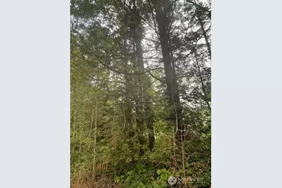 919 Sanford Avenue, Longbranch, WA 98349 - Photo 5