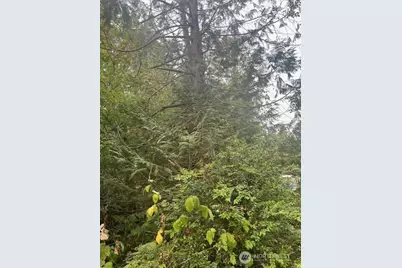 919 Sanford Avenue, Longbranch, WA 98349 - Photo 3
