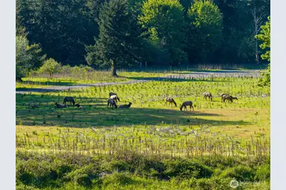 12087 US Highway 12, Packwood, WA 98361 - Photo 11