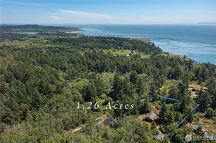 150 View Ridge Ln, San Juan Island, WA 98250 - Photo 3