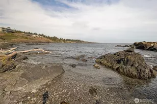 150 View Ridge Ln, San Juan Island, WA 98250 - Photo 39