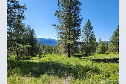 0 Gold Mountain Road, Republic, WA 99166 - Photo 1