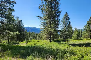 0 Gold Mountain Rd, Republic, WA 99166 - Photo 1