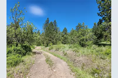 0 Gold Mountain Road, Republic, WA 99166 - Photo 7