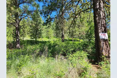 0 Gold Mountain Road, Republic, WA 99166 - Photo 3