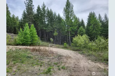 0 Gold Mountain Road, Republic, WA 99166 - Photo 5