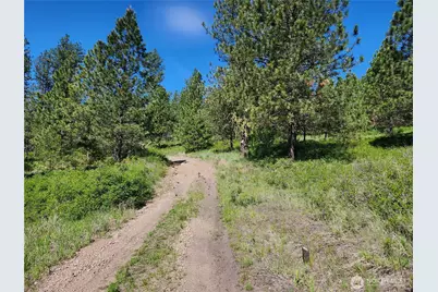 0 Gold Mountain Road, Republic, WA 99166 - Photo 9
