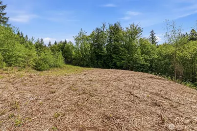 0 E State Route 4, Cathlamet, WA 98612 - Photo 15