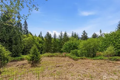 0 E State Route 4, Cathlamet, WA 98612 - Photo 17