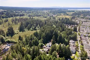 1145 Cosper St, DuPont, WA 98327 - Photo 31