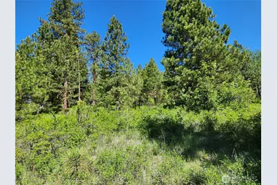 0 E Knob Hill Road, Republic, WA 99166 - Photo 7