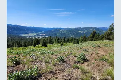 0 E Knob Hill Road, Republic, WA 99166 - Photo 3