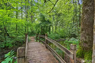 2538 157th Ln SW, Tenino, WA 98589 - Photo 33