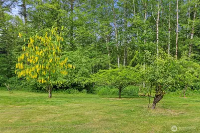 2538 157th Lane SW, Tenino, WA 98589 - Photo 19