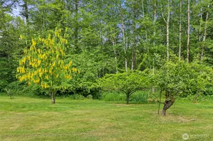 2538 157th Ln SW, Tenino, WA 98589 - Photo 19