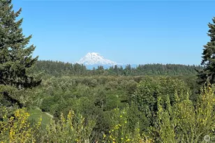 1546 Reservation Rd SE, Olympia, WA 98513 - Photo 35