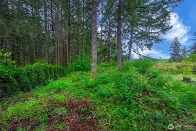 1546 Reservation Rd SE #149, Olympia, WA 98513 - Photo 37