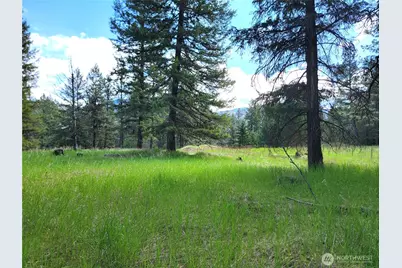 0 Evergreen Drive, Curlew, WA 99118 - Photo 7