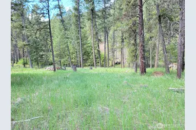 0 Evergreen Drive, Curlew, WA 99118 - Photo 3