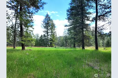 0 Evergreen Drive, Curlew, WA 99118 - Photo 9