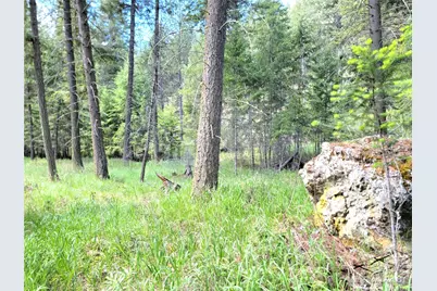 0 Evergreen Drive, Curlew, WA 99118 - Photo 5