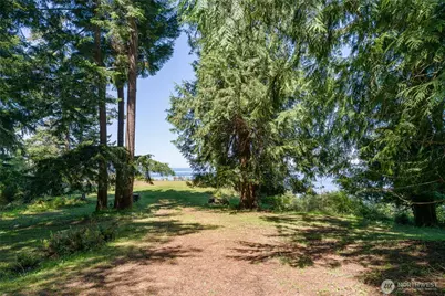 463 Wright Road, Orcas Island, WA 98245 - Photo 21