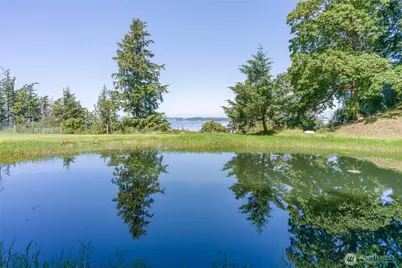 463 Wright Road, Orcas Island, WA 98245 - Photo 7