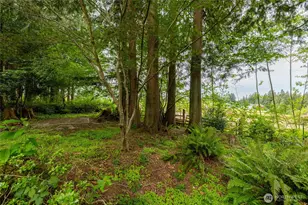 501 Shoshone Dr, Mount Vernon, WA 98273 - Photo 25