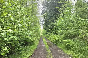 36610 48th Ave S, Roy, WA 98580 - Photo 1
