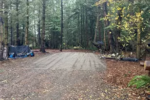 4853 Cape George Rd, Port Townsend, WA 98368 - Photo 1