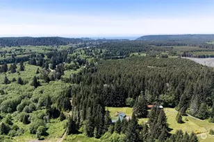 1399 Mora Rd, Forks, WA 98331 - Photo 37