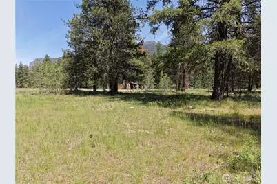 4 Mazama Meadows Lane, Mazama, WA 98833 - Photo 1