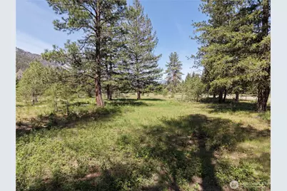 4 Mazama Meadows Lane, Mazama, WA 98833 - Photo 13
