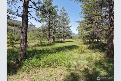 4 Mazama Meadows Lane, Mazama, WA 98833 - Photo 3