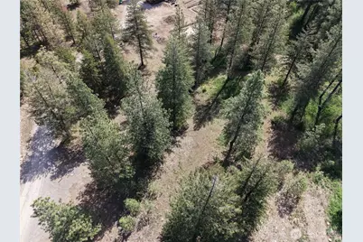 4 Mazama Meadows Lane, Mazama, WA 98833 - Photo 17