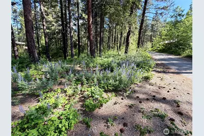 11 Highland Meadows, Winthrop, WA 98862 - Photo 3