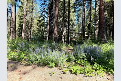 11 Highland Meadows, Winthrop, WA 98862 - Photo 23