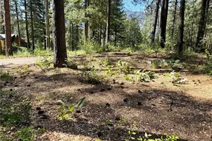 11 Highland Meadows, Winthrop, WA 98862 - Photo 1