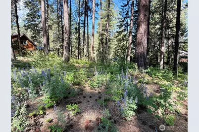 11 Highland Meadows, Winthrop, WA 98862 - Photo 13