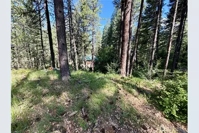 11 Highland Meadows, Winthrop, WA 98862 - Photo 9