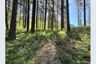 11 Highland Meadows, Winthrop, WA 98862 - Photo 15
